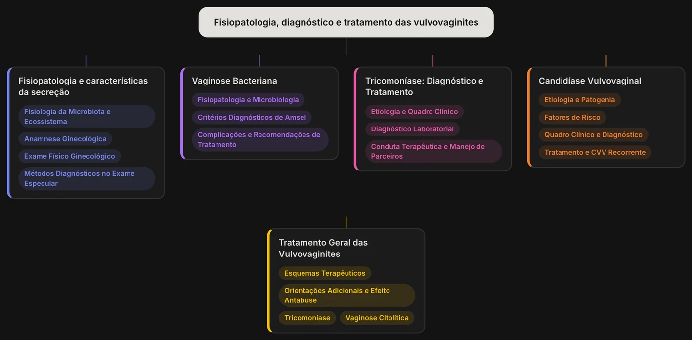 Mapa mental de uma aula sobre vulvovaginites